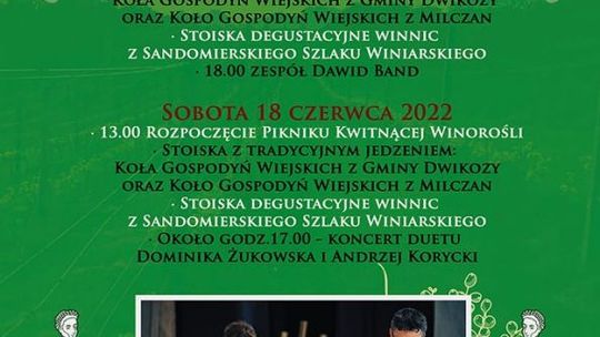 Piknik Kwitnącej Winorośli