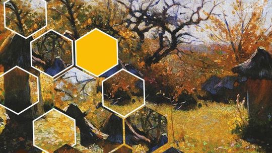 Piknik pszczelarski w Tokarni 