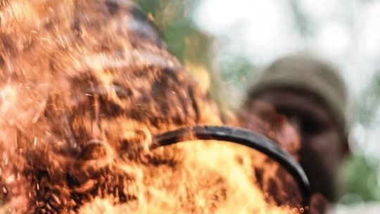 Piknik "Żelazne korzenie" w Starachowicach