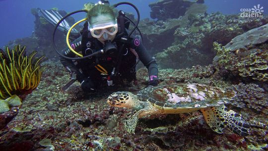 Piotr Bojarski: Woda zawsze była obecna w moim życiu