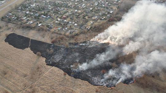  Plaga pożarów traw i nieużytków w powiecie ostrowieckim 