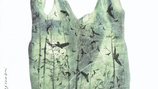 "Plastik? Rezygnuję. Redukuję. Segreguję" - hasłem tegorocznej "Akcji Sprzątania Świata 2020"