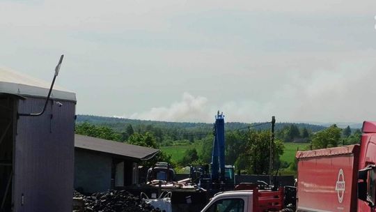 Płonie las w gminie Łopuszno. Na miejscu śmigłowce i dromadery
