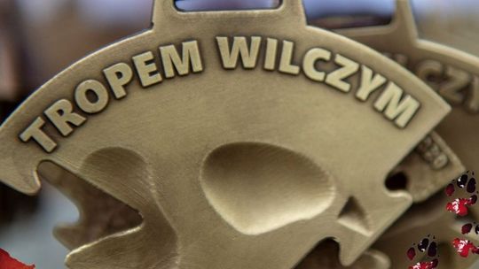 Pobiegną nie tylko w hołdzie poległym, ale i potrzebującym krwi