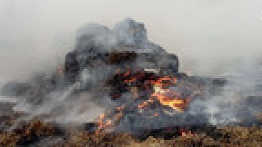 Podpalacze słomy złapani 