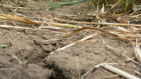 Podsumowanie prac komisji ds. usuwania skutków klęsk żywiołowych