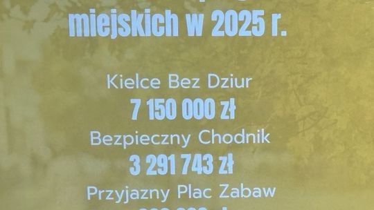 Podsumowanie programów miejskich w 2025 roku