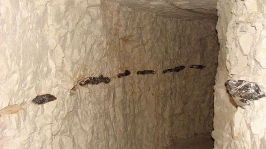 Podziemna trasa turystyczna na Krzemionkach zamknięta