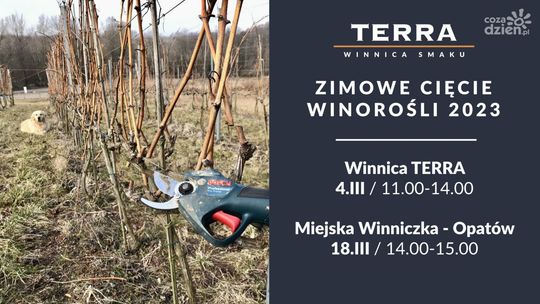 Pokaz cięcia i pielęgnacji winorośli