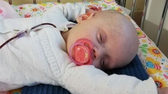 Pół miliona za życie Gai! Czasu jest niewiele... Pomóżmy!