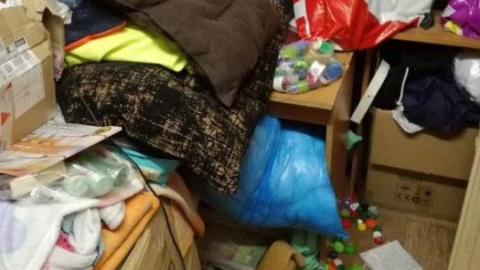 Połakomili się na karmę dla bezdomnych zwierząt