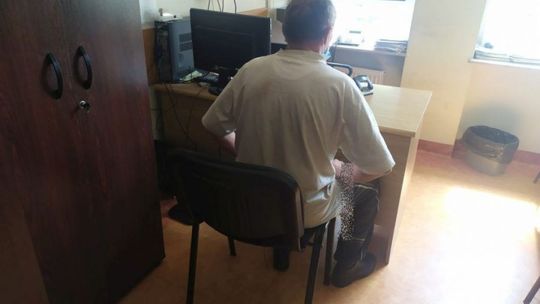 Policjanci zatrzymali sadystę, który zabił kota