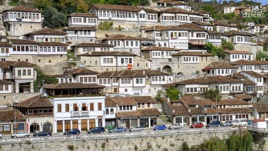 Polonia w Albanii głosowała najchętniej