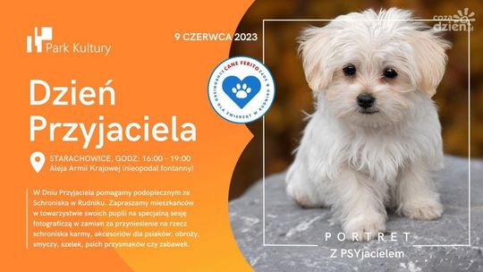 Pomoc dla czworonożnych przyjaciół 