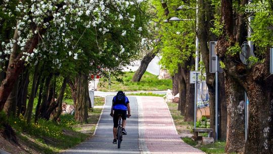 Ponad 16 milionów dotacji dla Kielc od Urzędu Marszałkowskiego. Skorzystają piesi i rowerzyści
