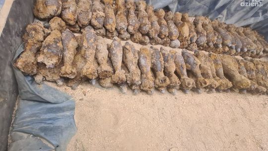 Ponad 160 pocisków z czasów II wojny światowej zabezpieczonych przez służby w Stopnicy Ponad 160 pocisków z czasów II wojny światowej zabezpieczonych przez służby w Stopnicy