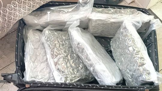Ponad 22 kilogramy narkotyków zabezpieczone pod Kielcami. Dwóch 32-latków aresztowanych Ponad 22 kilogramy narkotyków zabezpieczone pod Kielcami. Dwóch 32-latków aresztowanych