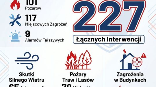 Ponad 220 interwencji strażaków w jeden weekend. Dominowały pożary traw i skutki silnego wiatru
