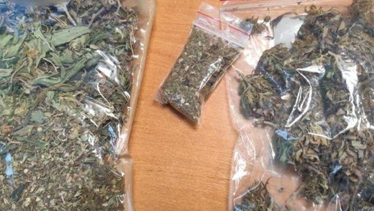 Ponad 900 kg nielegalnego suszu CBD nie trafi na rynek