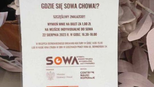 Poszukaj  SOWY w Ostrowcu  