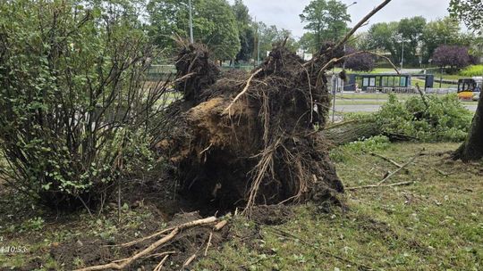 Potężna nawałnica w Kielcach i regionie. Dzień odsłania kolejne zniszczenia