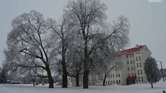 Powiat opatowski stawia na opiekę wytchnieniową 