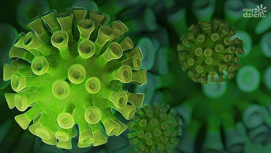 Powiat ostrowiecki z największą liczbą zakażonych