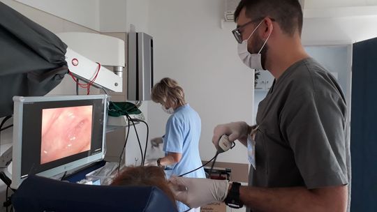 Powitaj wiosnę w Świętokrzyskim Centrum Onkologii 