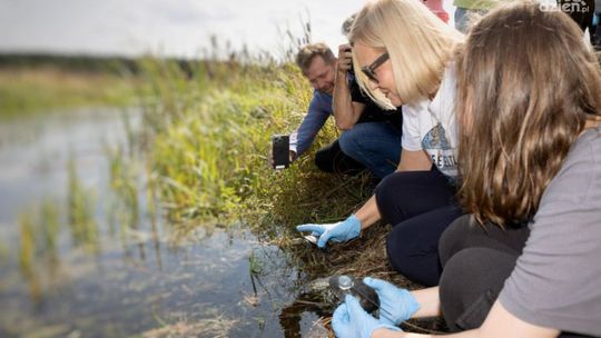 Powrót żółwia błotnego na Ponidzie! 