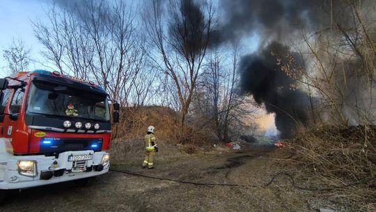 Pożary traw pustoszą nasze środowisko 