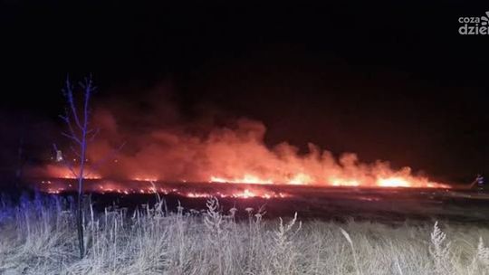 Pożary traw wciąż problemem w Świętokrzyskiem