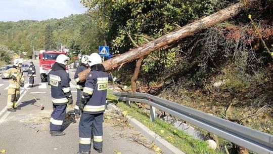 Pracowita niedziela strażaków - walczyli ze skutkami wichury