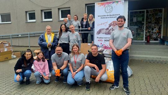 Pracownicy BGK pomagają w schronisku w Dyminach. Wolontariat na rzecz bezdomnych zwierząt