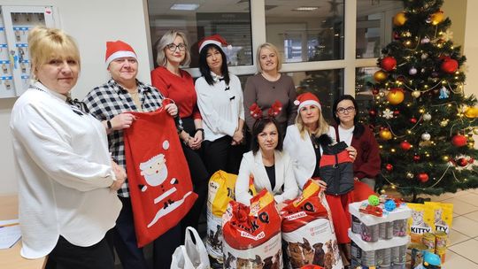 Pracownicy ostrowieckiego urzędu pracy wsparli bezdomne zwierzęta
