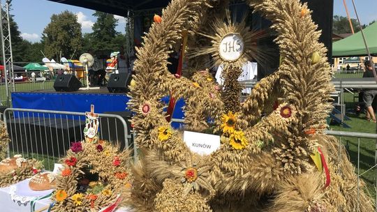 Producenci zboża domagają się interwencji państwowych instytucji  