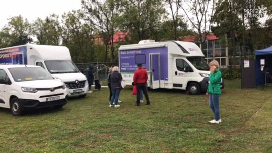 Profilaktyka na pikniku