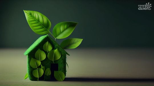 Program Czyste Powietrze — wszystko, co warto wiedzieć