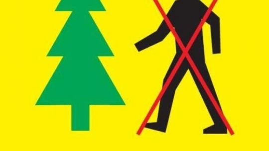 Przedłużony zakaz wstępu do lasów