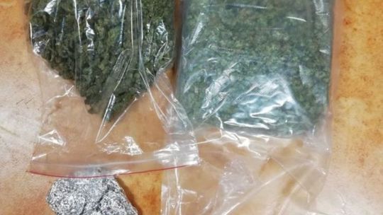 Przejęli spore ilości marihuany