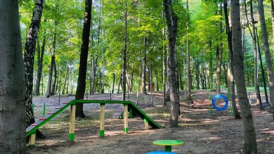 Przestrzeń przyjazna czworonogom