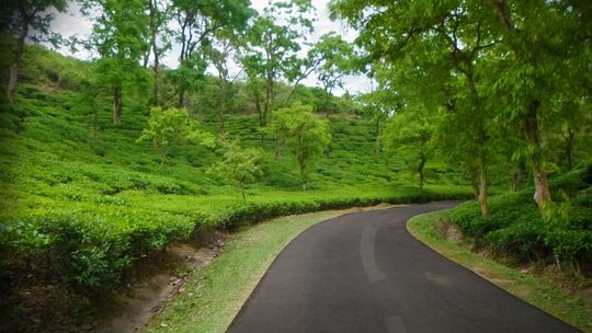 Przetarg na osuwającą się skarpę w Ćmielowie rozstrzygnięty