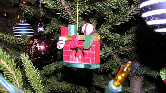 Przyjdź do Rynku i wymień sztuczną choinkę na żywą!