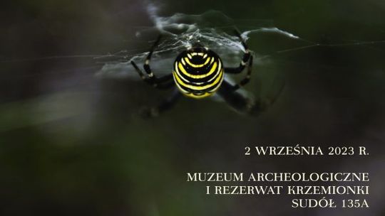 Przyroda i konieczność jej chronienia 