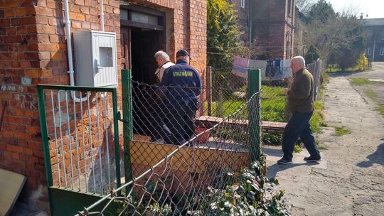 Psy więzione w czterech ścianach - interweniowały służby