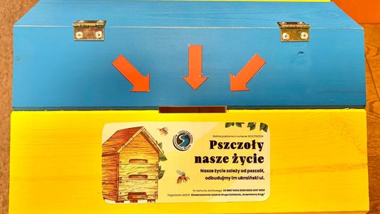 Pszczoły dają  życie 