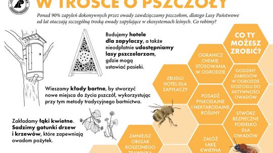Pszczoły dbają o rośliny, my zadbajmy o pszczoły