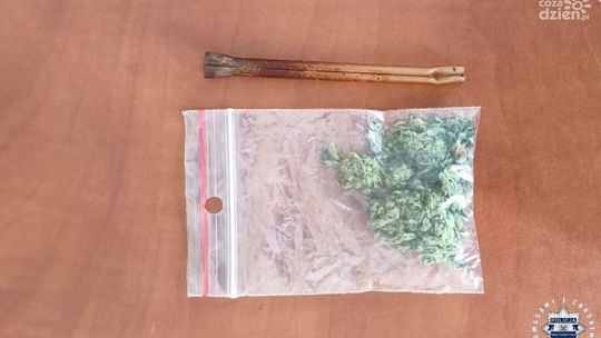 Radoszyce. 35-latek zatrzymany z marihuaną i po alkoholu