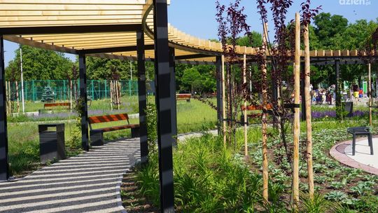 Raj dla zmysłów w ogrodzie zdrowia na Ogrodach 