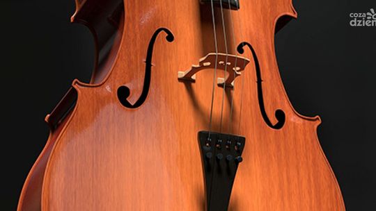 Recital wiolonczelowy