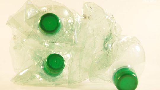 Referendum w Starachowicach